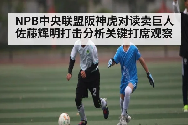 NPB中央联盟阪神虎对读卖巨人佐藤辉明打击分析关键打席观察